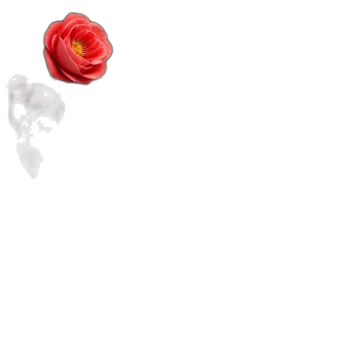flower, umbrella, crown, weapon transparent PNG cut-out