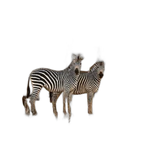 animal, creature, hat, jewelry, 3d render, photorealistic, concept art, pixel art transparent PNG cut-out
