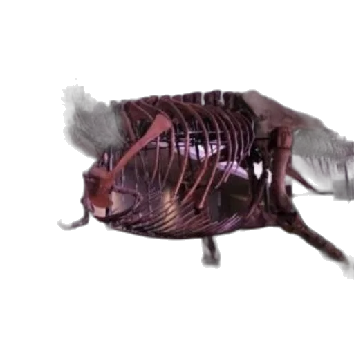 animal, creature, robot, dragon, concept art, 3d render, photorealistic, cyberpunk transparent PNG cut-out