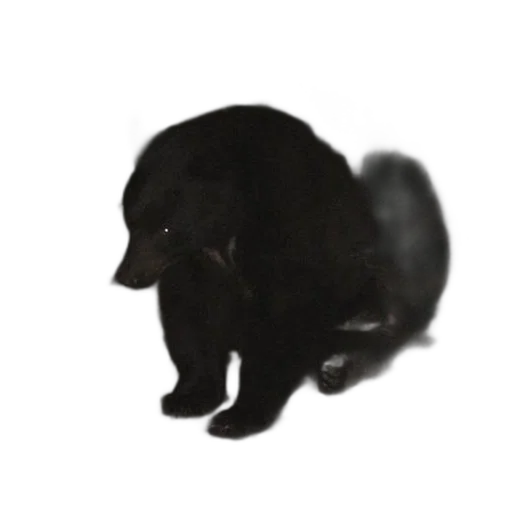 animal, creature, staff, face, photorealistic, concept art, 3d render, pixel art transparent PNG cut-out