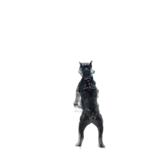 animal, staff, creature, mask transparent PNG cut-out