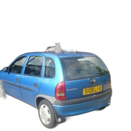 car, 3d render, blue, cat, sitting, top, front, house transparent PNG cut-out