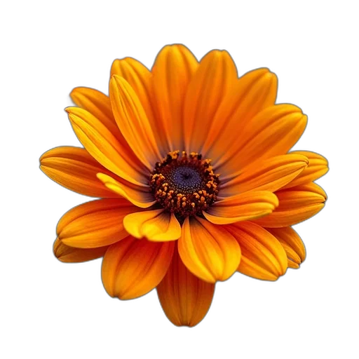 flower, crown, jewelry, staff, photorealistic, 3d render, oil painting, golden transparent PNG cut-out