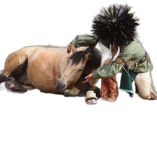 animal, staff, photorealistic, person, traditional, attire, tends, horse transparent PNG cut-out