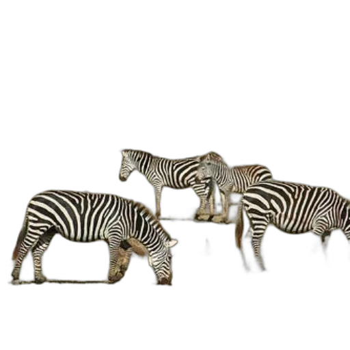 animal, jewelry, furniture, 3d render, concept art, photorealistic, herd, zebras transparent PNG cut-out