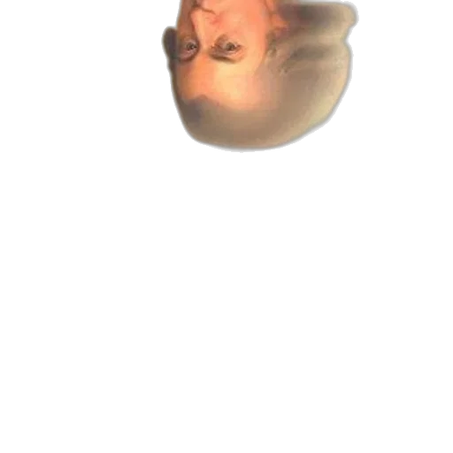 face, mask, hair, creature, photorealistic, 3d render, concept art, pixel art transparent PNG cut-out