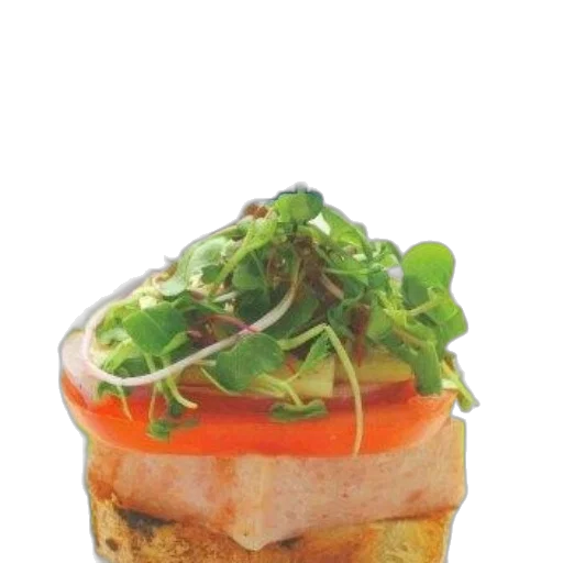 food, crown, photorealistic, book, cover, titled, cooks, spam transparent PNG cut-out