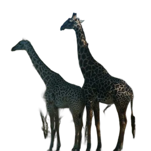 animal, creature, staff, jewelry, 3d render, concept art, photorealistic, pixel art transparent PNG cut-out