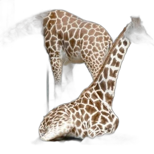 animal, shoes, creature, umbrella, concept art, photorealistic, 3d render, fantasy art transparent PNG cut-out