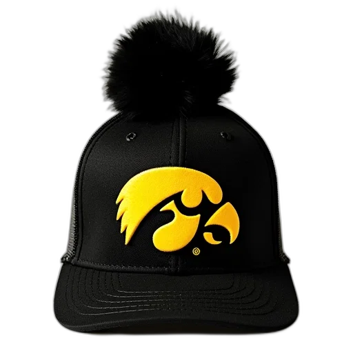 hat, university, iowa, logo, black, pom transparent PNG cut-out