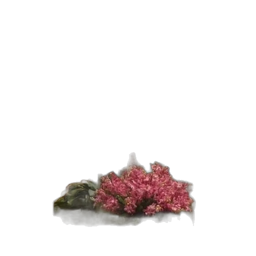 flower, crown, tree, hair, 3d render, photorealistic, concept art, vaporwave transparent PNG cut-out