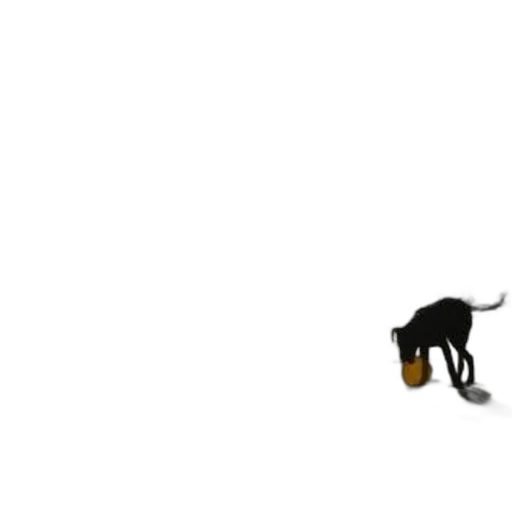 animal, shoes, furniture, staff transparent PNG cut-out