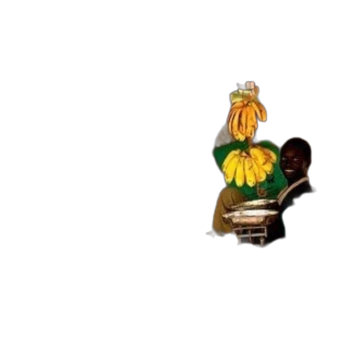 flower, crown, umbrella, food transparent PNG cut-out