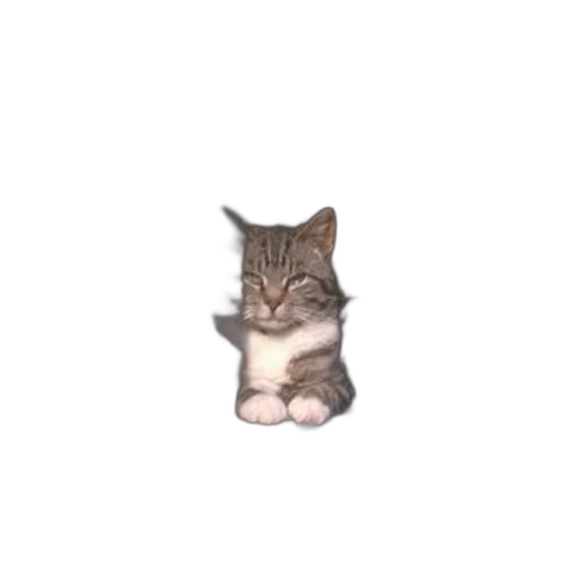 animal, staff, creature, face, pixel art, 3d render, photorealistic, concept art transparent PNG cut-out