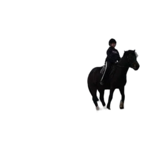 animal, jacket, hat, creature, pixel art, concept art, photorealistic, 3d render transparent PNG cut-out