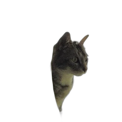 animal, dragon, creature, staff transparent PNG cut-out