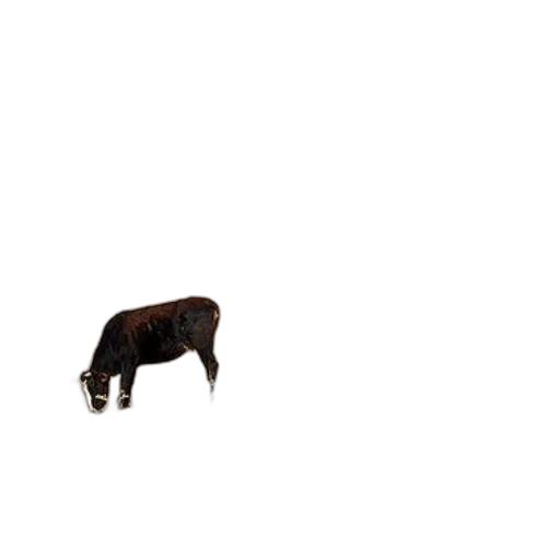 animal, creature, food, furniture, 3d render, pixel art, concept art, photorealistic transparent PNG cut-out