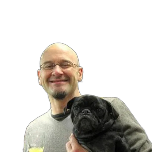 staff, animal, creature, man, kitchen, holds, black, pug transparent PNG cut-out