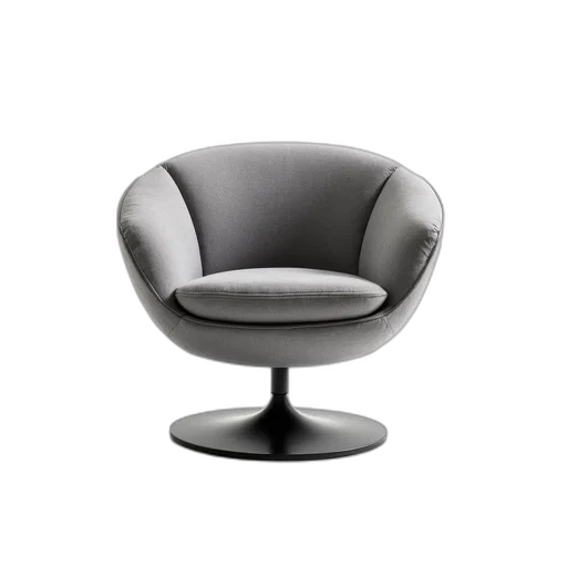 furniture, hair, hat, crown, 3d render, photorealistic, monochrome, modern transparent PNG cut-out