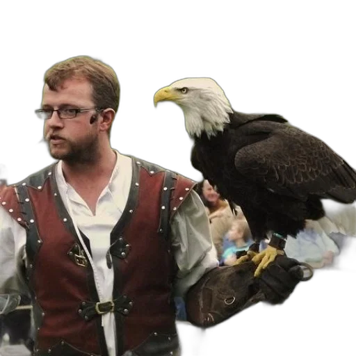 animal, jacket, man, medieval, costume, holds, eagle, his transparent PNG cut-out