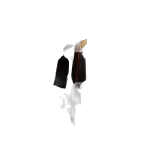 jacket, umbrella, staff, dress, 3d render, pixel art, concept art, photorealistic transparent PNG cut-out