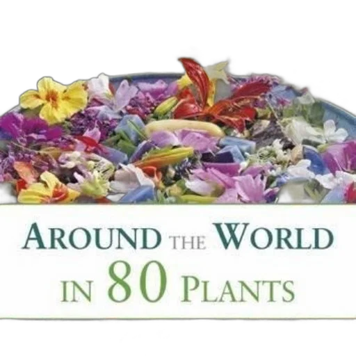 image, cover, book, titled, around, world, plants, featuring transparent PNG cut-out