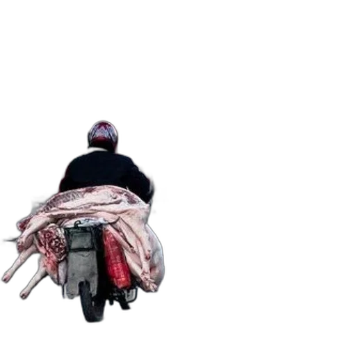 jacket, umbrella, car, weapon transparent PNG cut-out