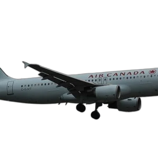 animal, staff, 3d render, air, canada, airplane, captured, flight transparent PNG cut-out