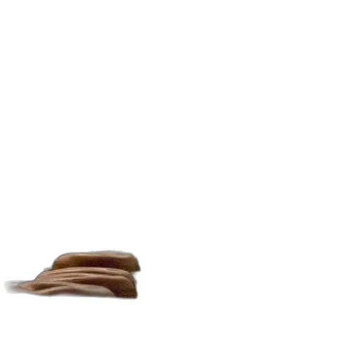 hat, shoes, furniture, hair, 3d render, photorealistic, concept art, earth tones transparent PNG cut-out
