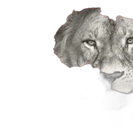 crown, jewelry, animal, photorealistic, 3d render, concept art, pencil sketch, lion transparent PNG cut-out