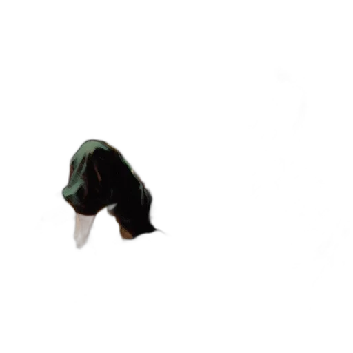hat, mask, animal, shoes, 3d render, photorealistic, concept art, pixel art transparent PNG cut-out