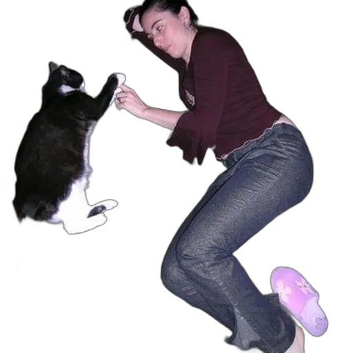 animal, creature, staff, shoes transparent PNG cut-out