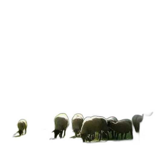animal, staff, creature, furniture, concept art, 3d render, pixel art, photorealistic transparent PNG cut-out
