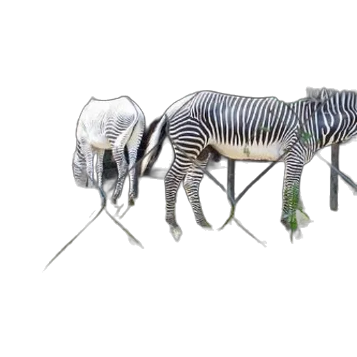 animal, creature, furniture, weapon, concept art, 3d render, photorealistic, watercolor transparent PNG cut-out