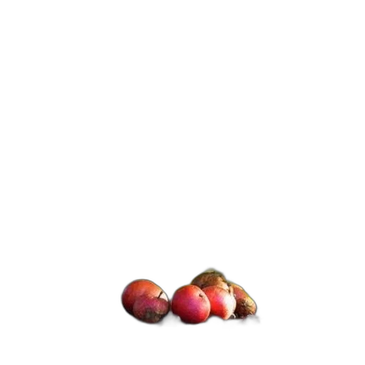food, crown, jewelry, animal, photorealistic, pixel art, concept art, 3d render transparent PNG cut-out