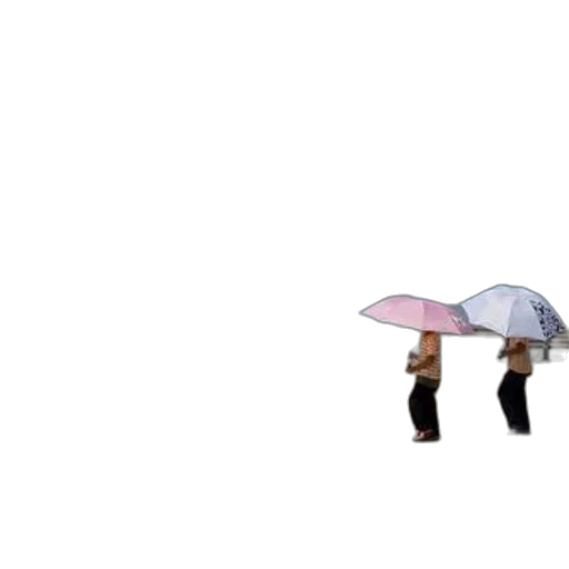 umbrella, hat, jacket, dress transparent PNG cut-out