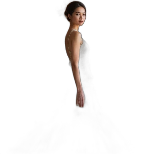 dress, jewelry, crown, photorealistic transparent PNG cut-out