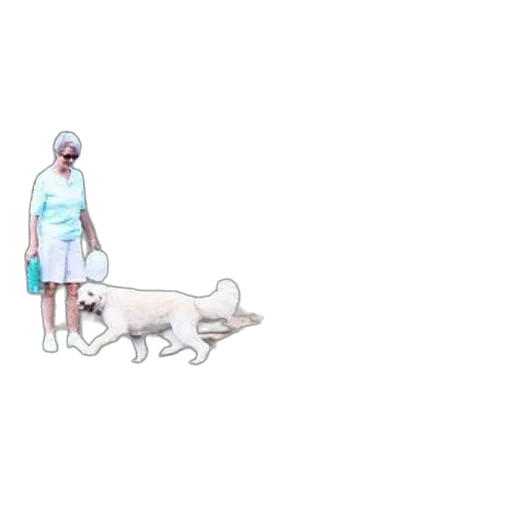 creature, animal, hat, staff, pixel art, anime, vaporwave, concept art transparent PNG cut-out