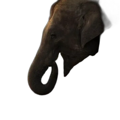 animal, mask, creature, staff, photorealistic, concept art, 3d render, watercolor transparent PNG cut-out