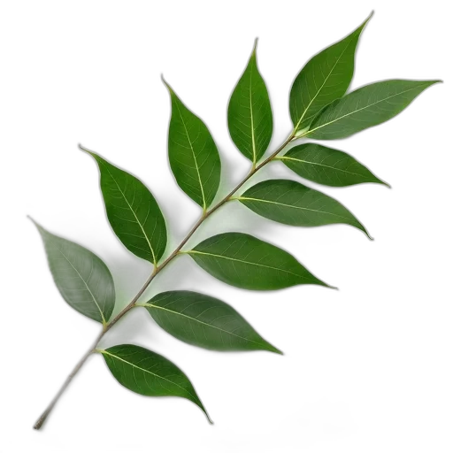 staff, tree, weapon, food, photorealistic, 3d render, green, collection transparent PNG cut-out