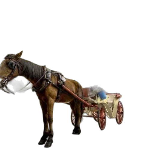 staff, weapon, car, furniture, 3d render, concept art, photorealistic, horse-drawn transparent PNG cut-out