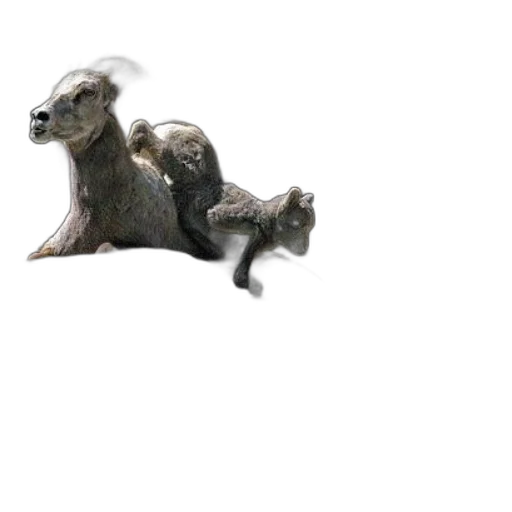 animal, creature, dragon, furniture transparent PNG cut-out