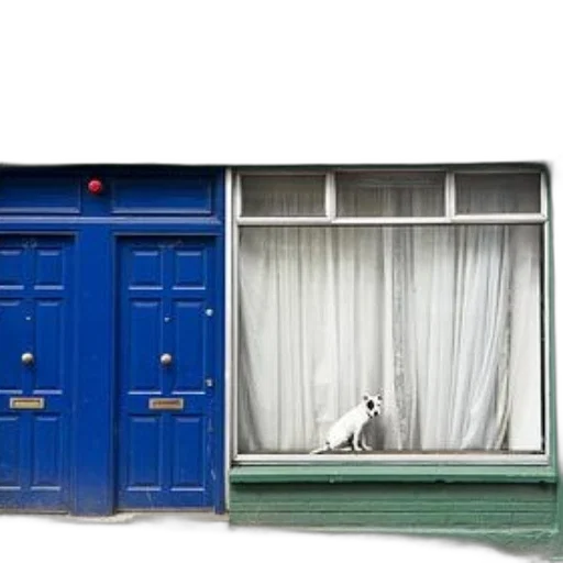 furniture, building, animal, shoes, 3d render, photorealistic, concept art, city street transparent PNG cut-out