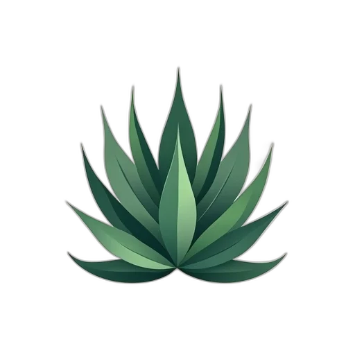 crown, flower, tree, hat transparent PNG cut-out