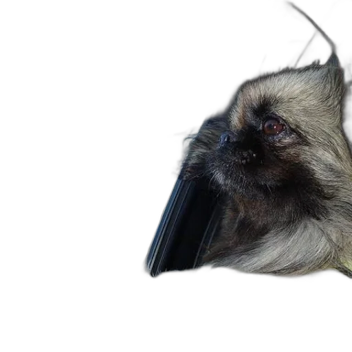 animal, mask, hair, staff, photorealistic, 3d render, concept art, fluffy transparent PNG cut-out