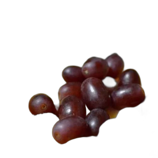 crown, food, jewelry, tree, 3d render, photorealistic, earth tones, dark transparent PNG cut-out