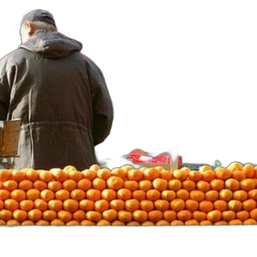food, jacket, photorealistic, market transparent PNG cut-out