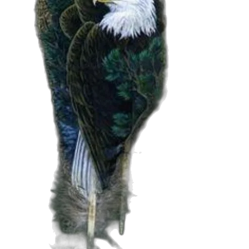 animal, jacket, staff, creature, concept art, photorealistic, fantasy art, watercolor transparent PNG cut-out