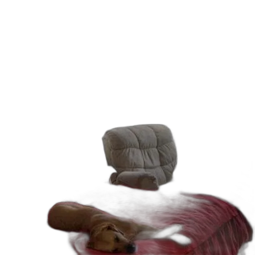 furniture, hat, animal, hair, 3d render, photorealistic, concept art, oil painting transparent PNG cut-out
