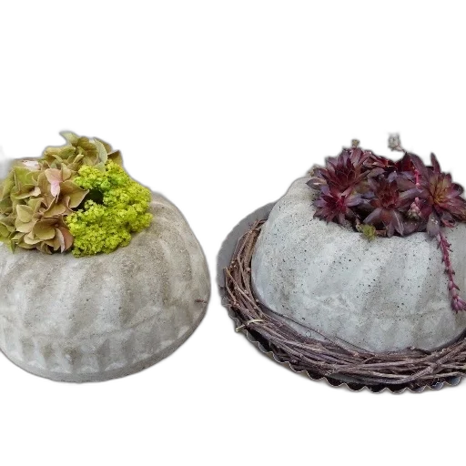 hat, crown, food, 3d render, photorealistic, two, concrete, planters transparent PNG cut-out